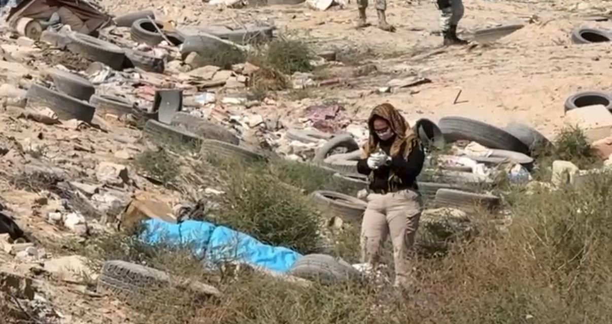 ec569676-20c6-4509-bb3f-737202fed126 ec569676-20c6-4509-bb3f-737202fed126