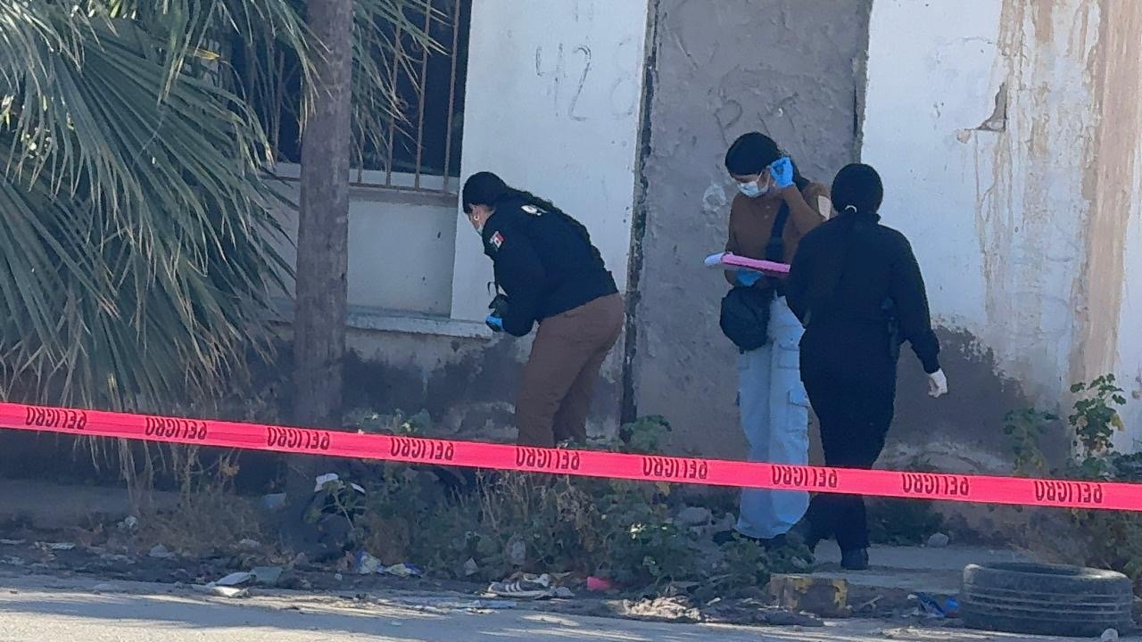 405f2ae2-93e6-409c-bcd7-ae98eb9df57a