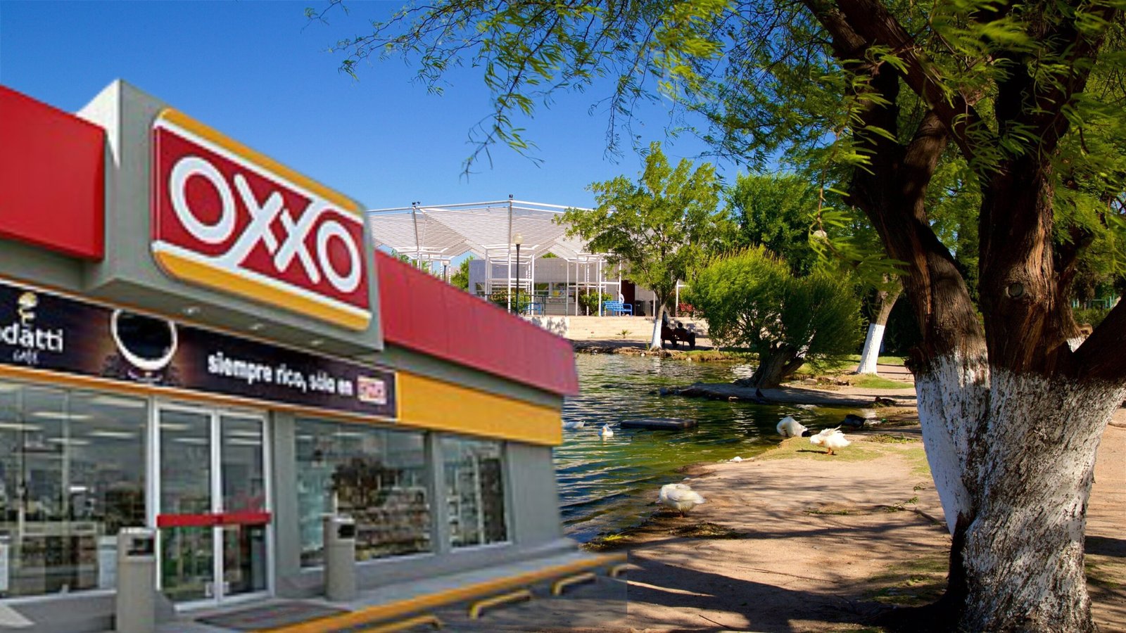 {"data":{"capability_name":"capcut_photo_editor","product":"vicut","source_platform":"mobile_1","region":"MX","os":"ios","source_type":"vicut","editType":"image_edit","pictureId":"C1CB2EF7-5E48-4A31-9D94-D3B57F7342F3","enterFrom":"image_edit_export_page","appVersion":"16.8.0","client_key":"aw889s25wozf8s7e"},"tiktok_developers_3p_anchor_params":"{"region":"MX","capability_name":"capcut_photo_editor","source_platform":"mobile_1","enterFrom":"image_edit_export_page","editType":"image_edit","product":"vicut","appVersion":"16.8.0","pictureId":"C1CB2EF7-5E48-4A31-9D94-D3B57F7342F3","source_type":"vicut","os":"ios","client_key":"aw889s25wozf8s7e"}","source_type":"vicut"}