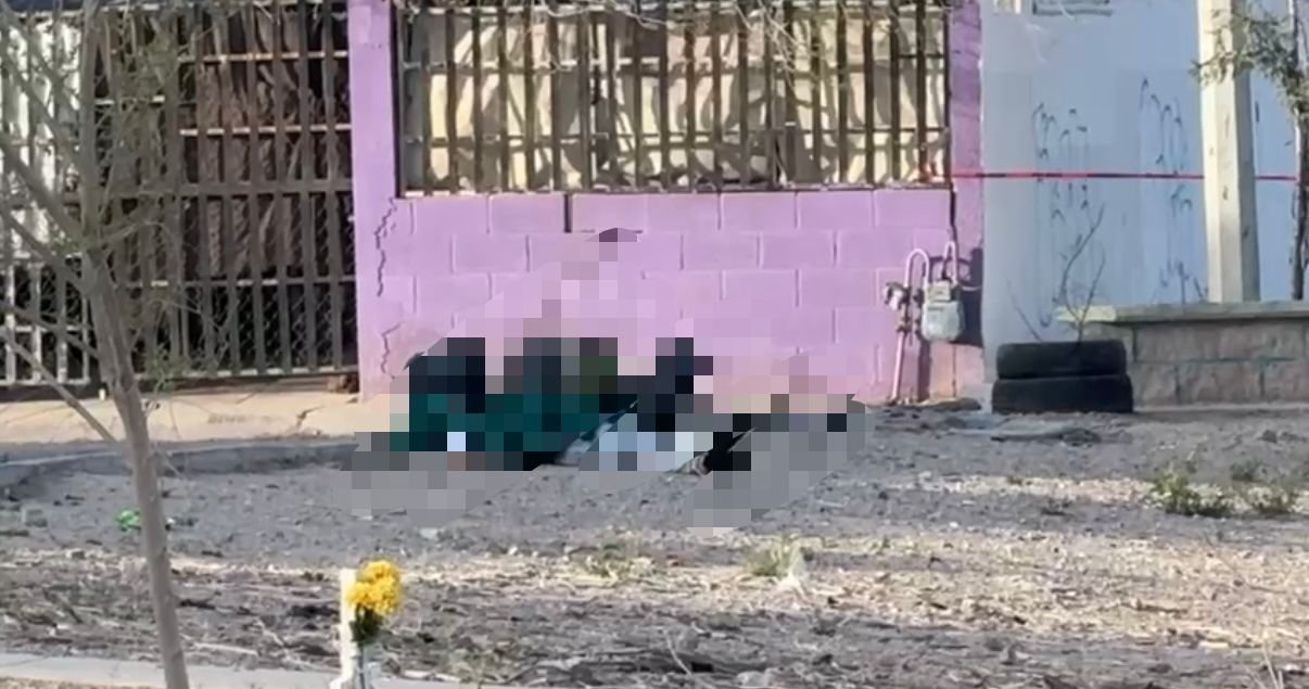 fafe5edf-e9f5-46a1-a9ed-29b99878df5c