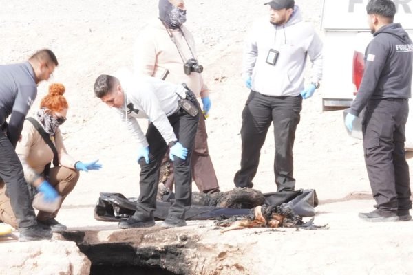 0f27c12b-afcf-477d-9a8b-21abf1791194