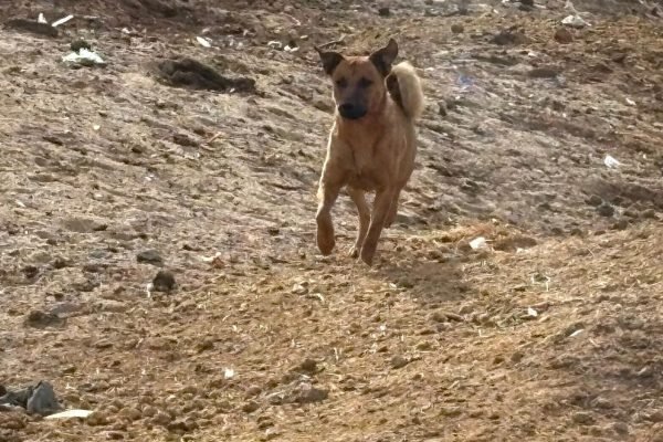 13f182ea-2f67-4a29-97c4-73f109417771