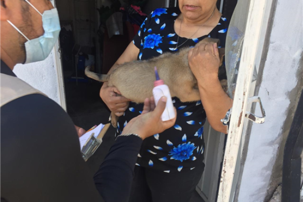 14607-2