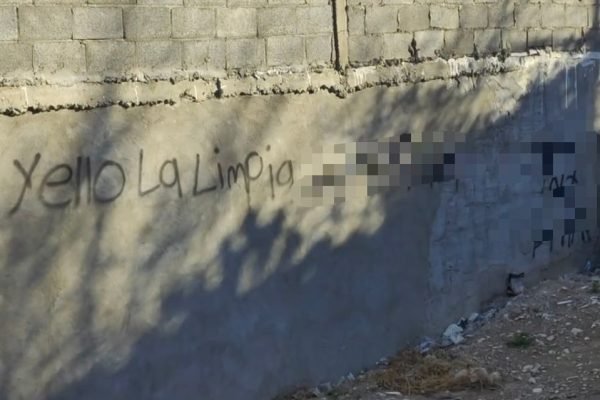 290f760f-4904-4ca9-bb11-d360d31f2c89