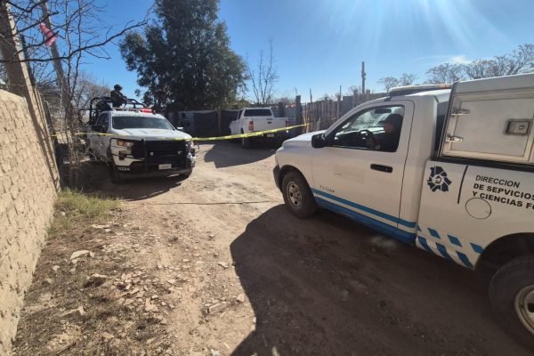 2c608622-d44b-47a3-9bb2-013a92b95aec