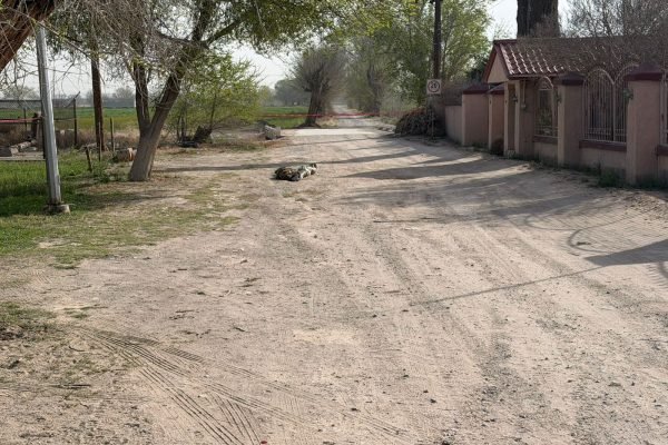 2e0f6e89-2dfa-4cfc-8c5a-c0bf703e7913