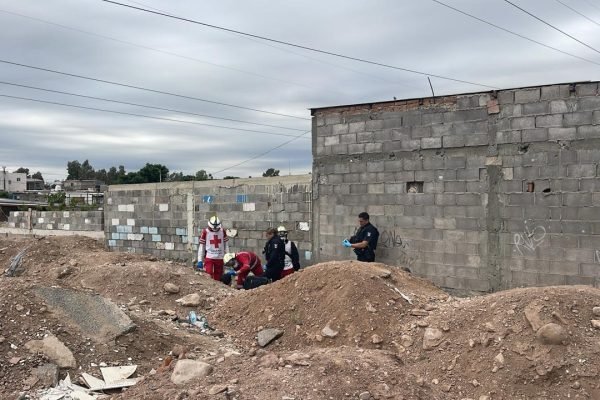 482c5dd5-cd5d-4e10-9176-0937336055ba-1