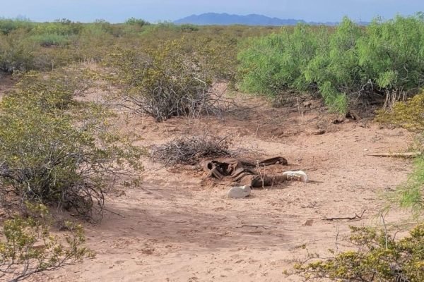 4b744fcd-9bf7-483a-9bb7-bc1e6ab7fa0d