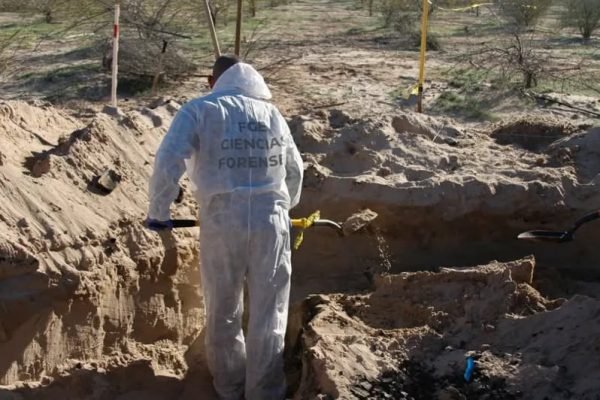 613676938_1356653849825416_7273200270683042825_n