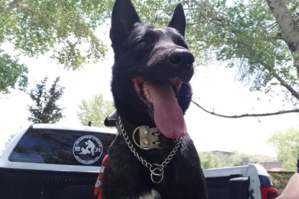 629355744_1320432896796490_813258031780631776_n