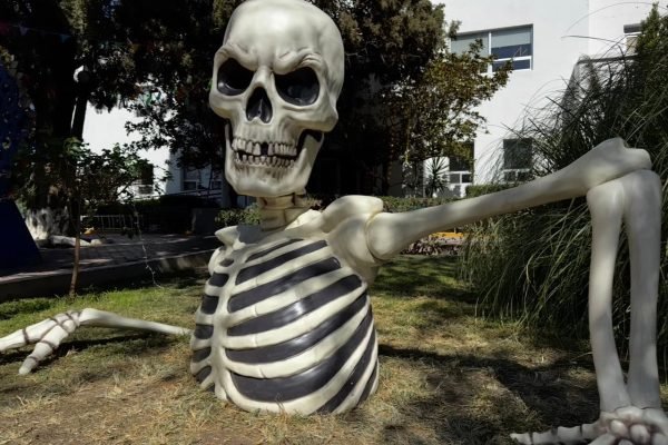 65db9660-3b70-4b3a-923f-28504a2f6bb0 65db9660-3b70-4b3a-923f-28504a2f6bb0