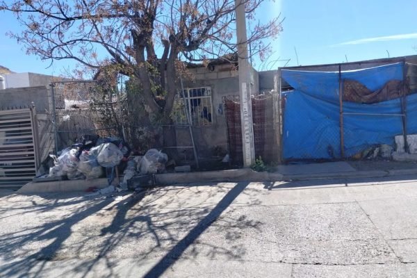 669064418_1482314696900786_5069785093260918960_n