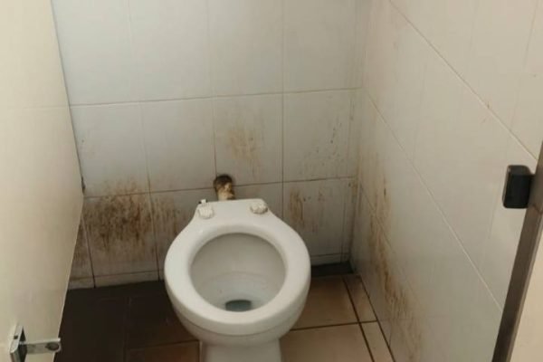 678484393_2954386371432454_5109545291902462842_n