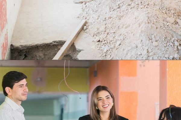 69bc52d8f1870__69bc52d8f1871-1