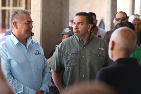 69d7e36d1ece4__69d7e36d1ece5