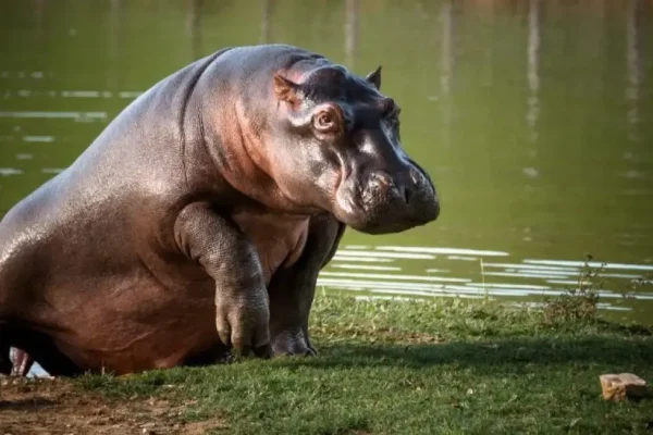 69dff12a8284a.r_d.352-327-0