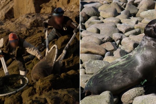 7TAI6RNQFJBXTNSZWCLYZ3MT2I