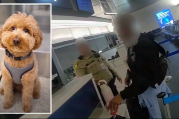 Captura-de-pantalla-2026-02-19-142810