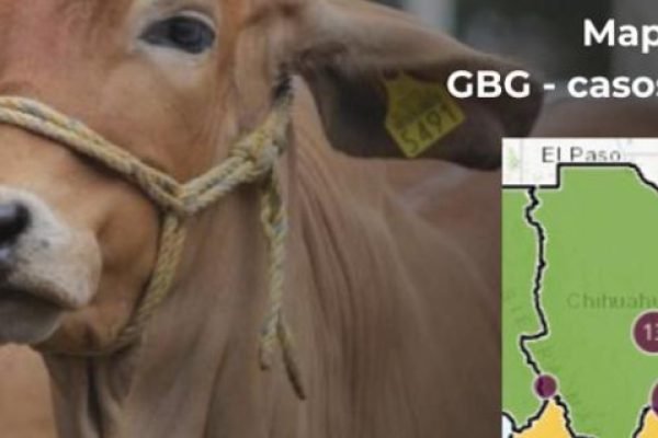 Captura-de-pantalla-2026-08-06-170313