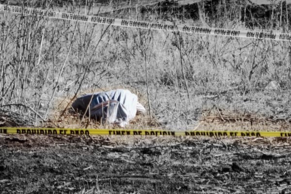 ColorPop1771260247423