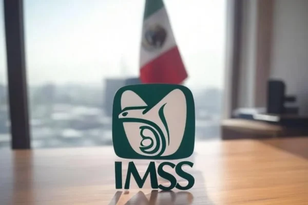 Como-pagar-IMSS-por-tu-cuenta-para-tener-pension-y-guarderias