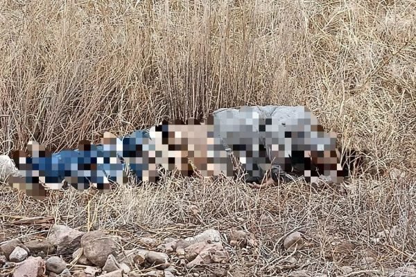 FB_IMG_1768258639829