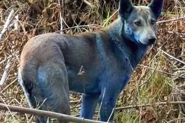 G4XucU0XoAA07kH G4XucU0XoAA07kH