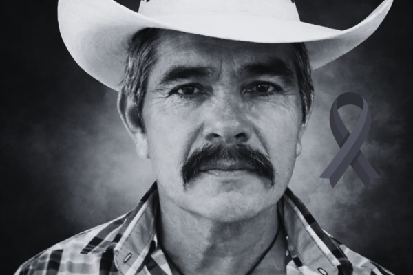 Galeria-de-2-imagenes-1-4