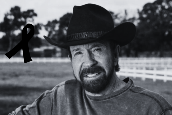 Galeria-de-2-imagenes-4