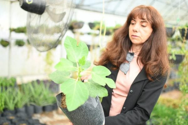 IMG-20260322-WA0002-1160x700-1