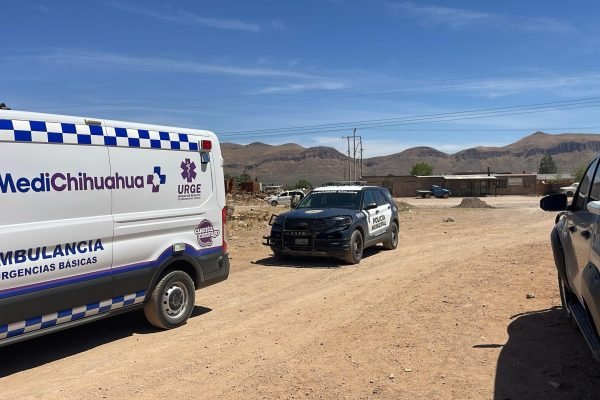 IMG-20260404-WA00621-scaled-1