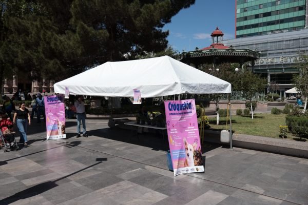 IMG-20260409-WA01182-scaled-1