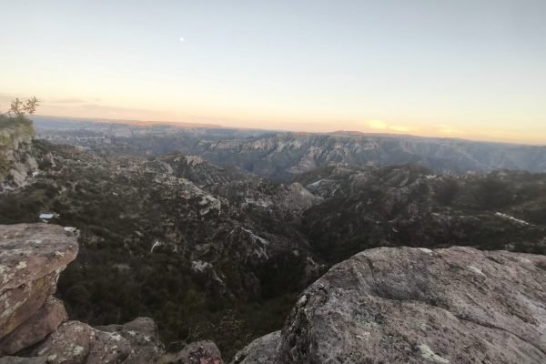 IMG_20260301_190732-scaled-1