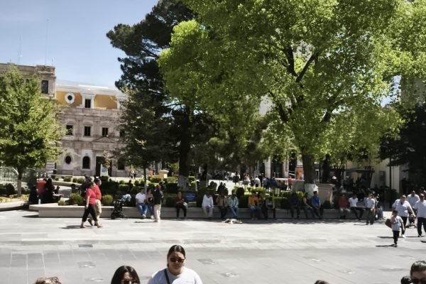 IMG_20260403_113252-scaled-1