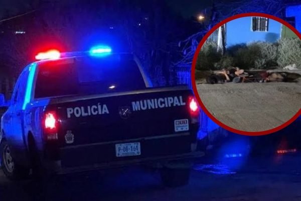 Marco Licón Barraza, Marco Licón, fallecimiento Marco Licón, JMAS Juárez, director de JMAS Juárez, accidente Chihuahua Juárez, carretera Chihuahua Juárez, Carlos Ortiz, PAN Ciudad Juárez, Alejandr (26)