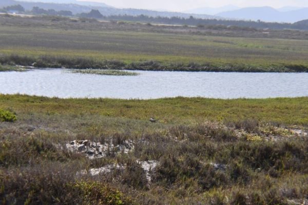 NCWQ4IVQTNG73PMJGSI4MQNYSE