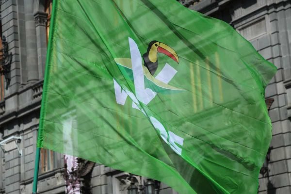 Partido-Verde-se-prepara-para-ir-solo-en-CDMX-en-eleccion-de-2027-ante-ausencia-de-relacion-con-Morena-en-la-capital