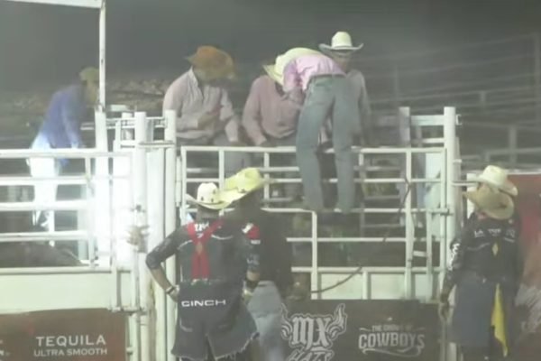 Screenshot_2026-04-13-08-20-11-275_com.facebook.katana-edit