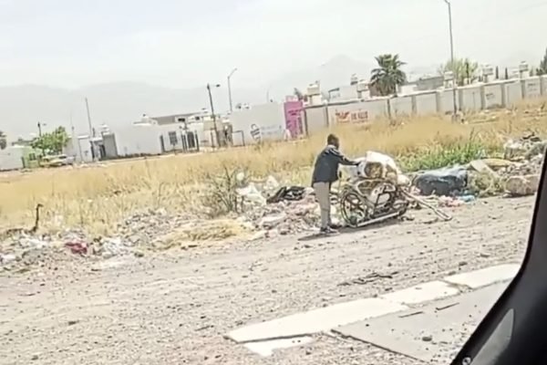 Screenshot_20260316_182713_com_hihonor_photos_GalleryMain