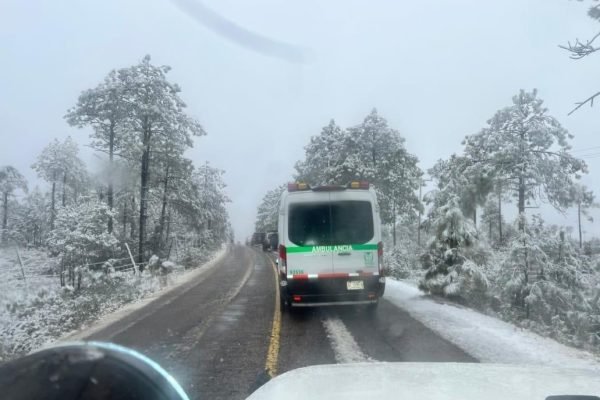 WhatsApp-Image-2026-01-12-at-3.42.55-PM