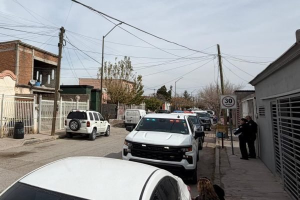 WhatsApp-Image-2026-02-08-at-1.41.49-PM