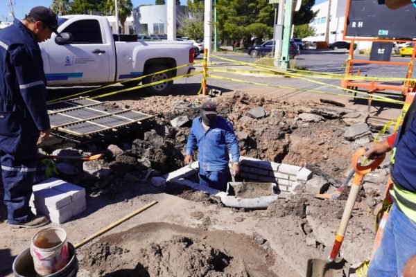 WhatsApp-Image-2026-02-17-at-12.23.01-PM-1