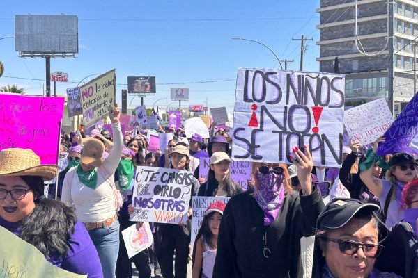 WhatsApp Image 2026-03-08 at 12.56.44 PM