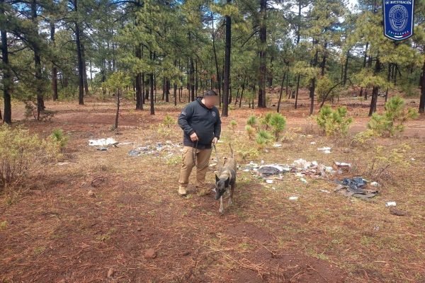 WhatsApp-Image-2026-03-13-at-1.03.57-PM