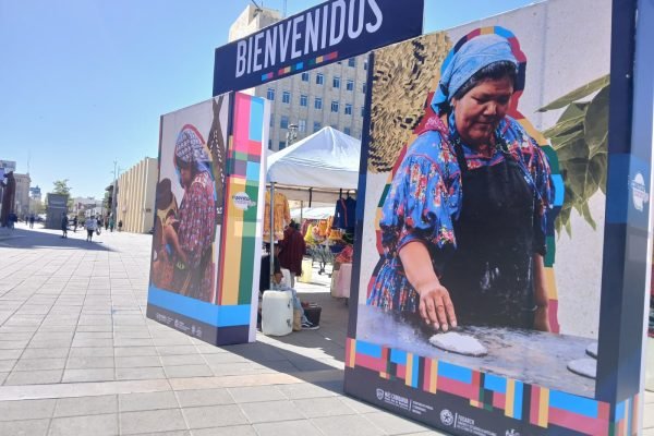 WhatsApp-Image-2026-03-19-at-10.52.13-AM