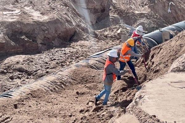 WhatsApp Image 2026-03-28 at 12.53.48 PM