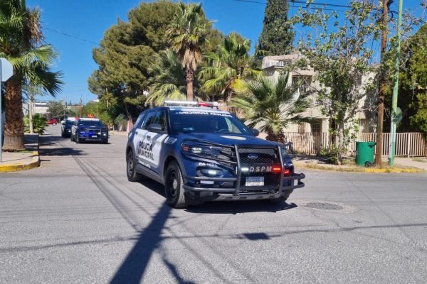 WhatsApp-Image-2026-03-29-at-10.13.04-AM