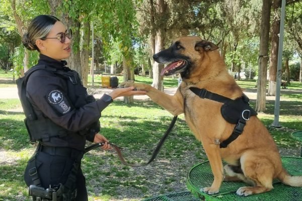 WhatsApp-Image-2026-04-12-at-9.53.12-AM