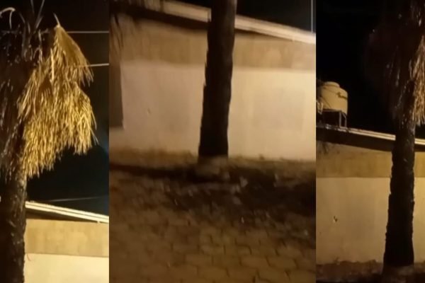 befunky_2026-1-2_10-0-11-scaled-1