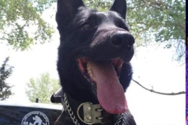 befunky_2026-1-5_10-27-50-scaled-1